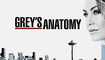 30 besten Greys Anatomy 14 getestet und qualifiziert