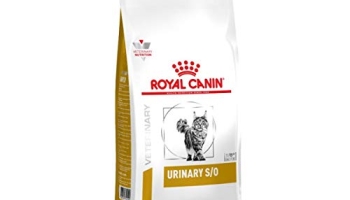 30 besten Royal Canin Urinary S/O Gatto getestet und qualifiziert